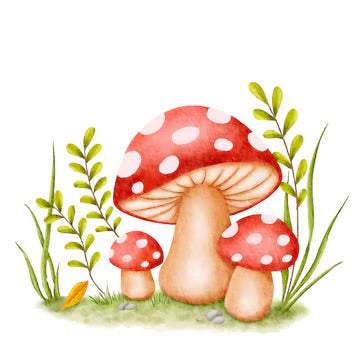 Red Mushroom Bundle